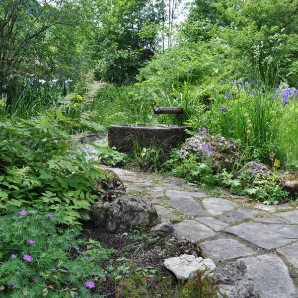 Alpengarten im Sommer