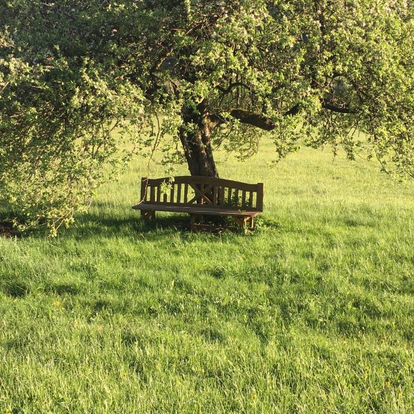 Ein idyllisches Plätzchen