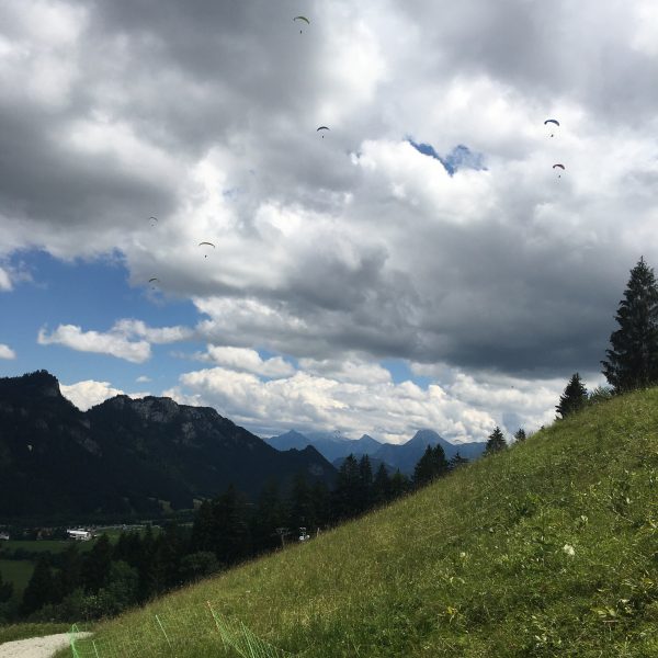 Gleitschirmflieger am Breitenberg