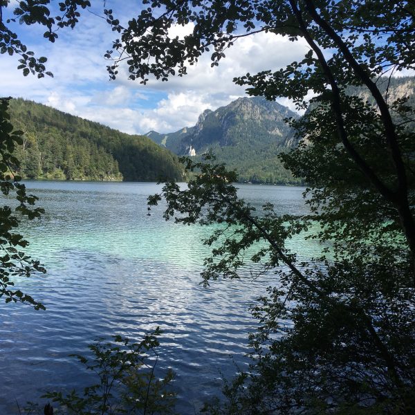 Der Alpsee mit Schloss Neuschwanstein im Hintergrund