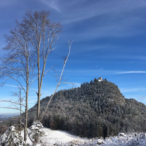 Beliebtes Ausflugsziel: Der Falkenstein