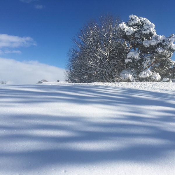 unberührte Schneedecke