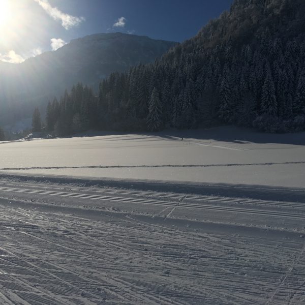 Loipe in Pfronten-Dorf